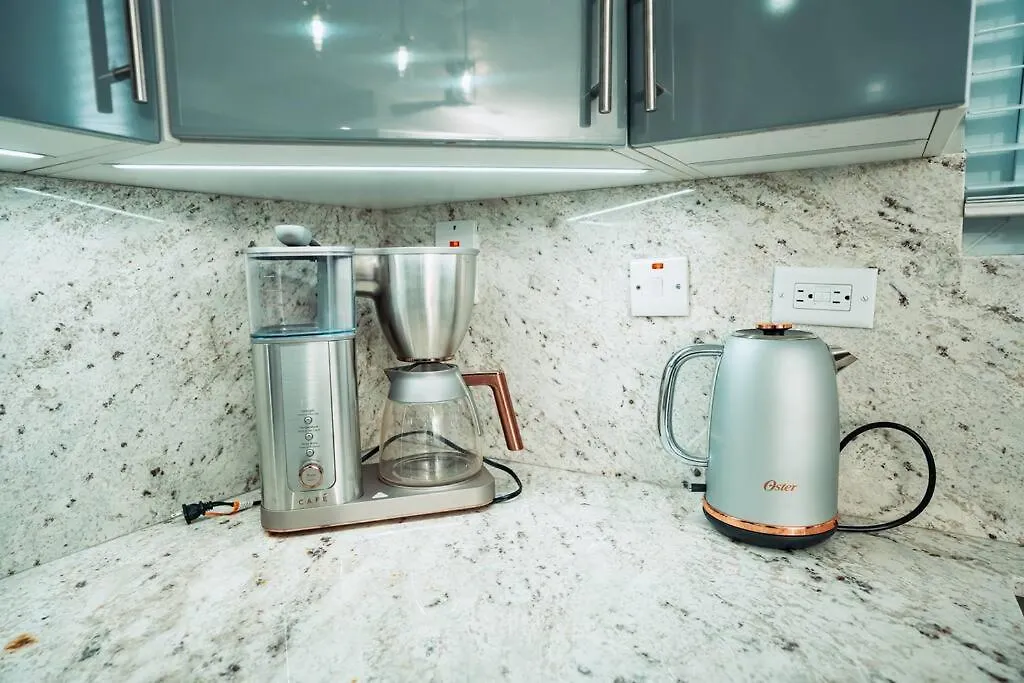 Lush Penthouse Escape With Rooftop Pool 킹스톤